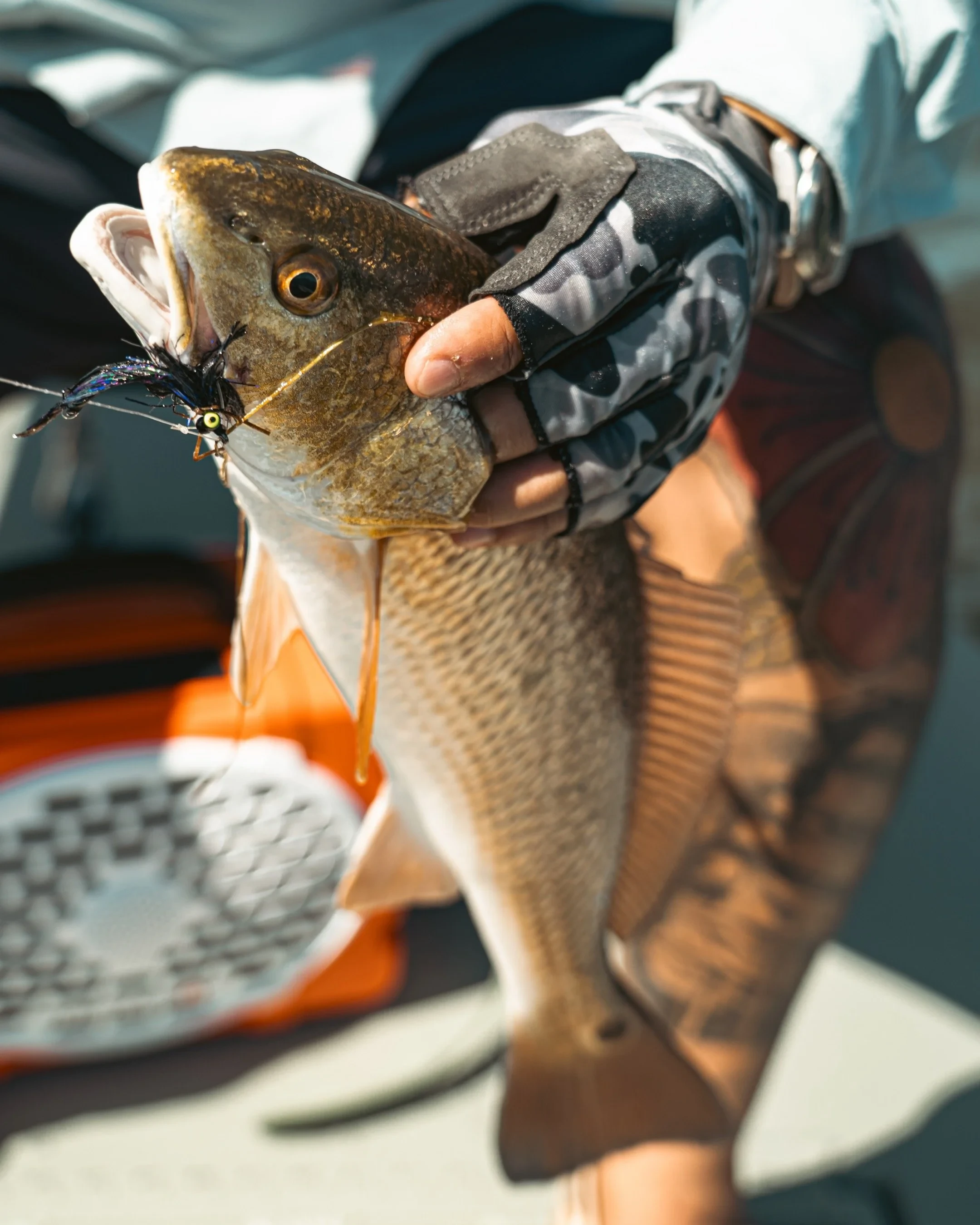 Redfish caught on the Texas coast — WhippyStik guided fishing