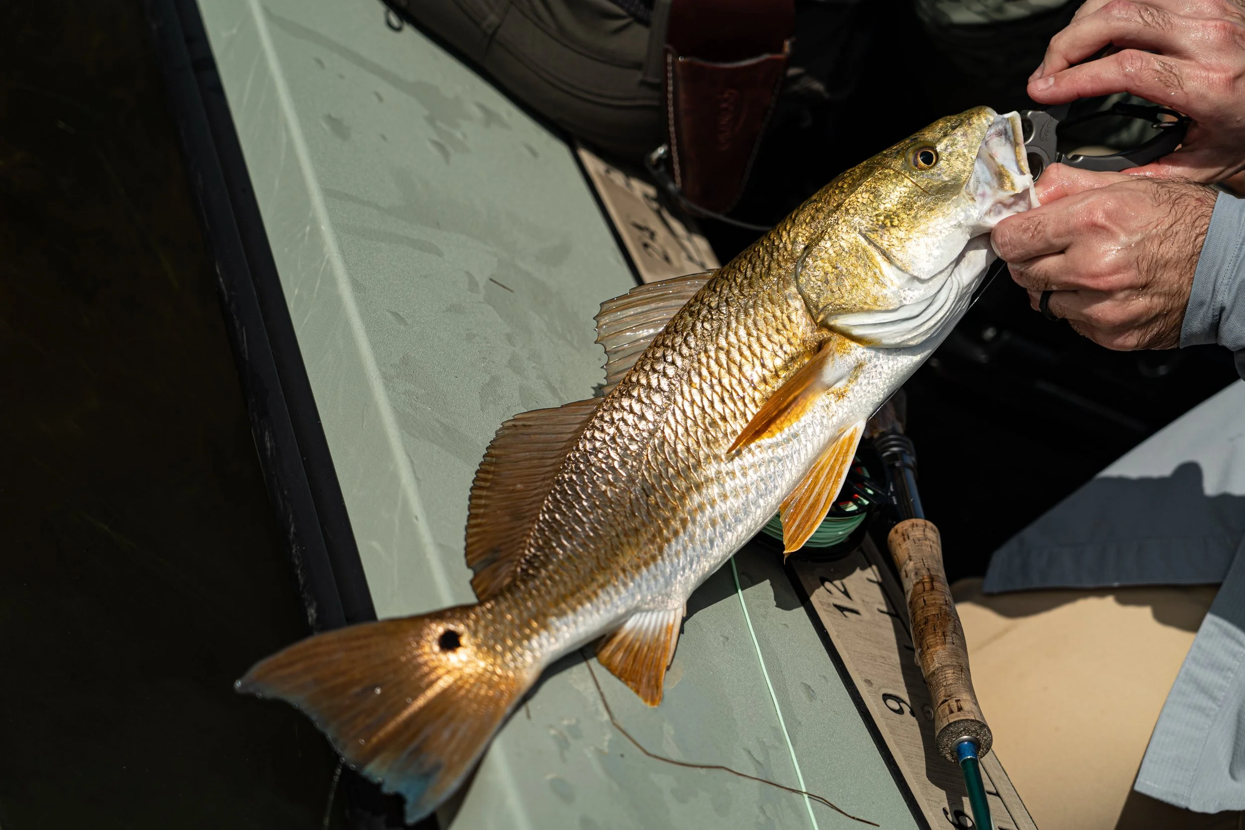 Texas coastal photography by Capt. Cam Cooper