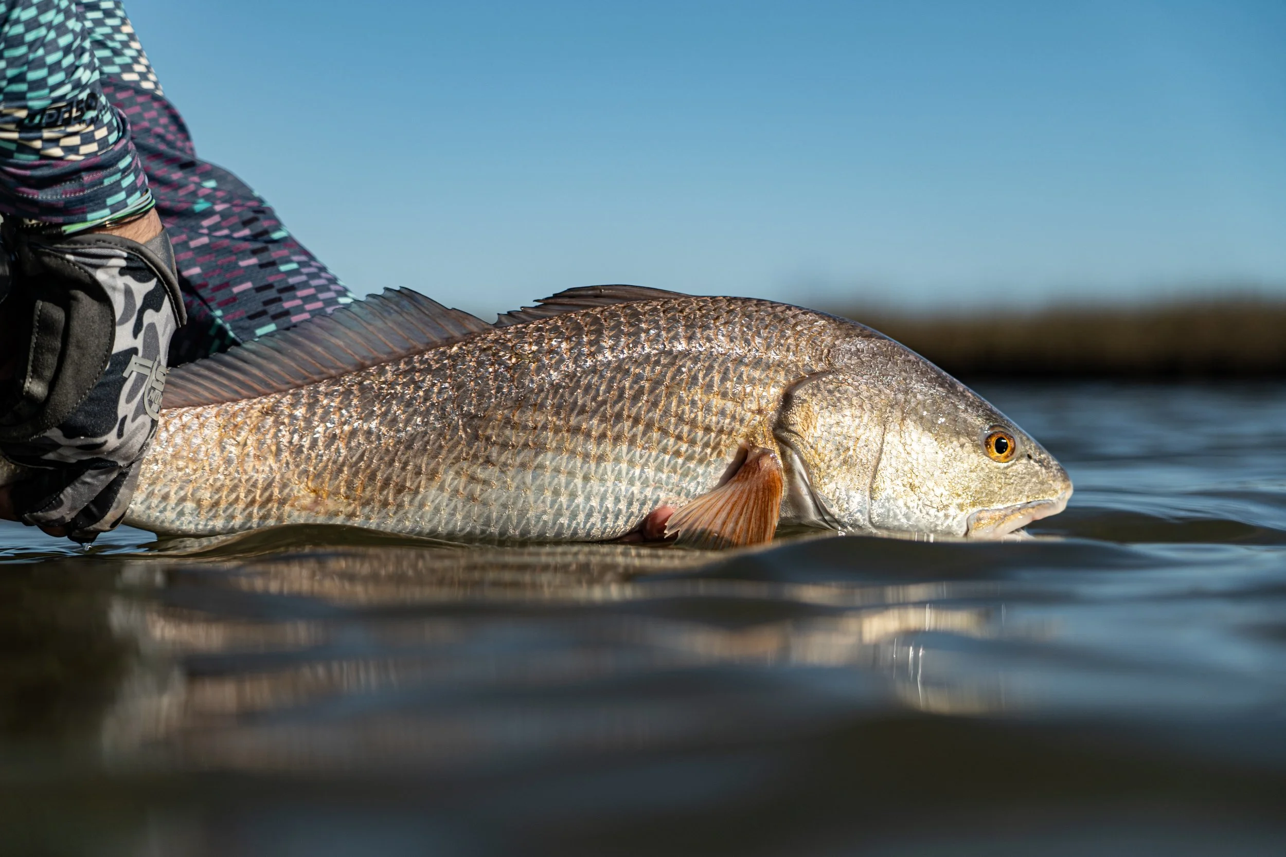 Texas coast fly fishing — WhippyStik